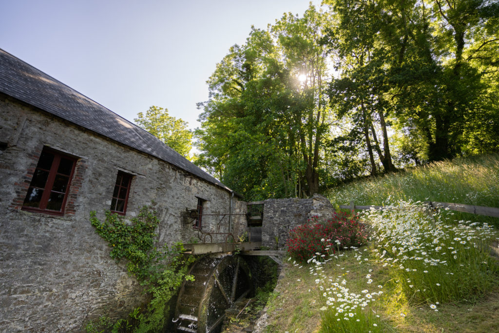 Le bocage normand